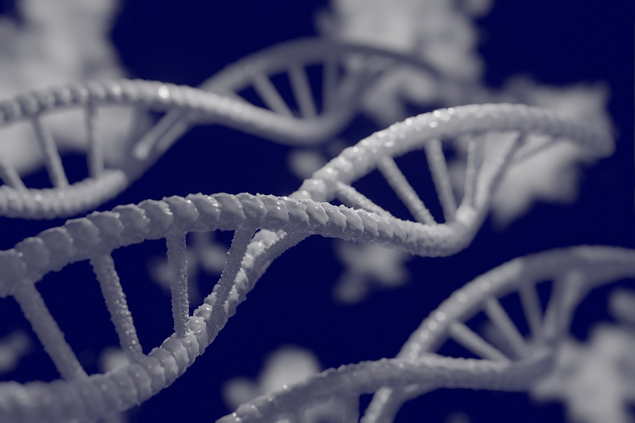 Challenges and Feasibility of Immortality - A Philosophical Analysis